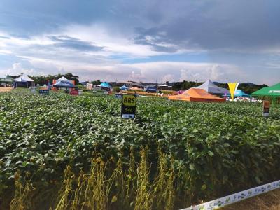 Dia de Campo da Coprossel teve uma Ã³tima participaÃ§Ã£o dos associados